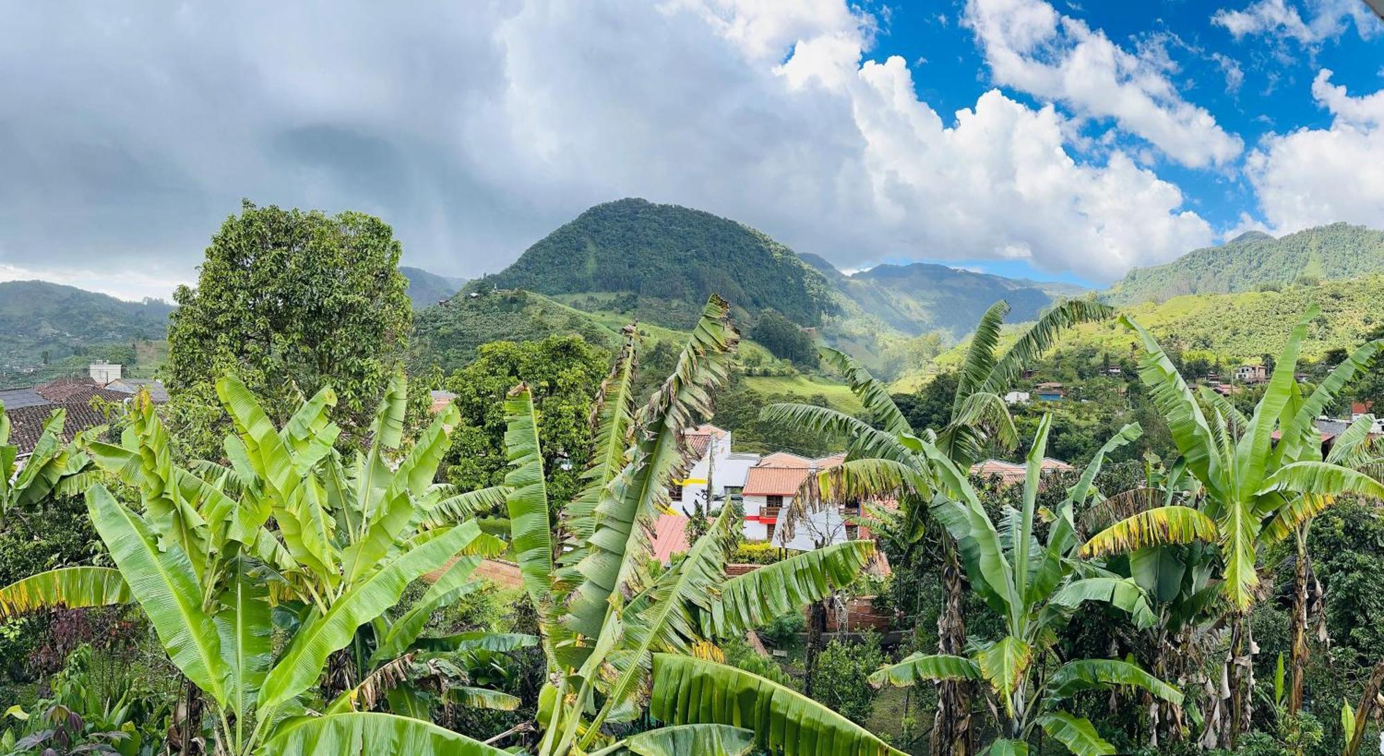 La Casa De Las Flores Hostal Jardín Eksteriør bilde